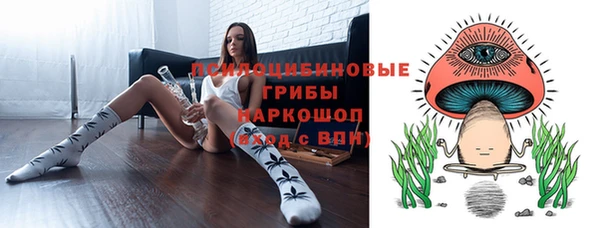 apvp Алзамай