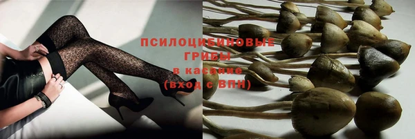 дживик Алексин