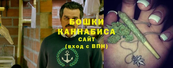шишки Ладушкин