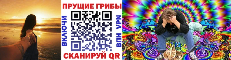 Галлюциногенные грибы Psilocybe  Темрюк 